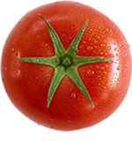 Supplier of Food and Beverages